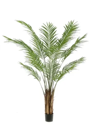 Artificial Tropical Plant Decor Set (2) | Emerald Areca