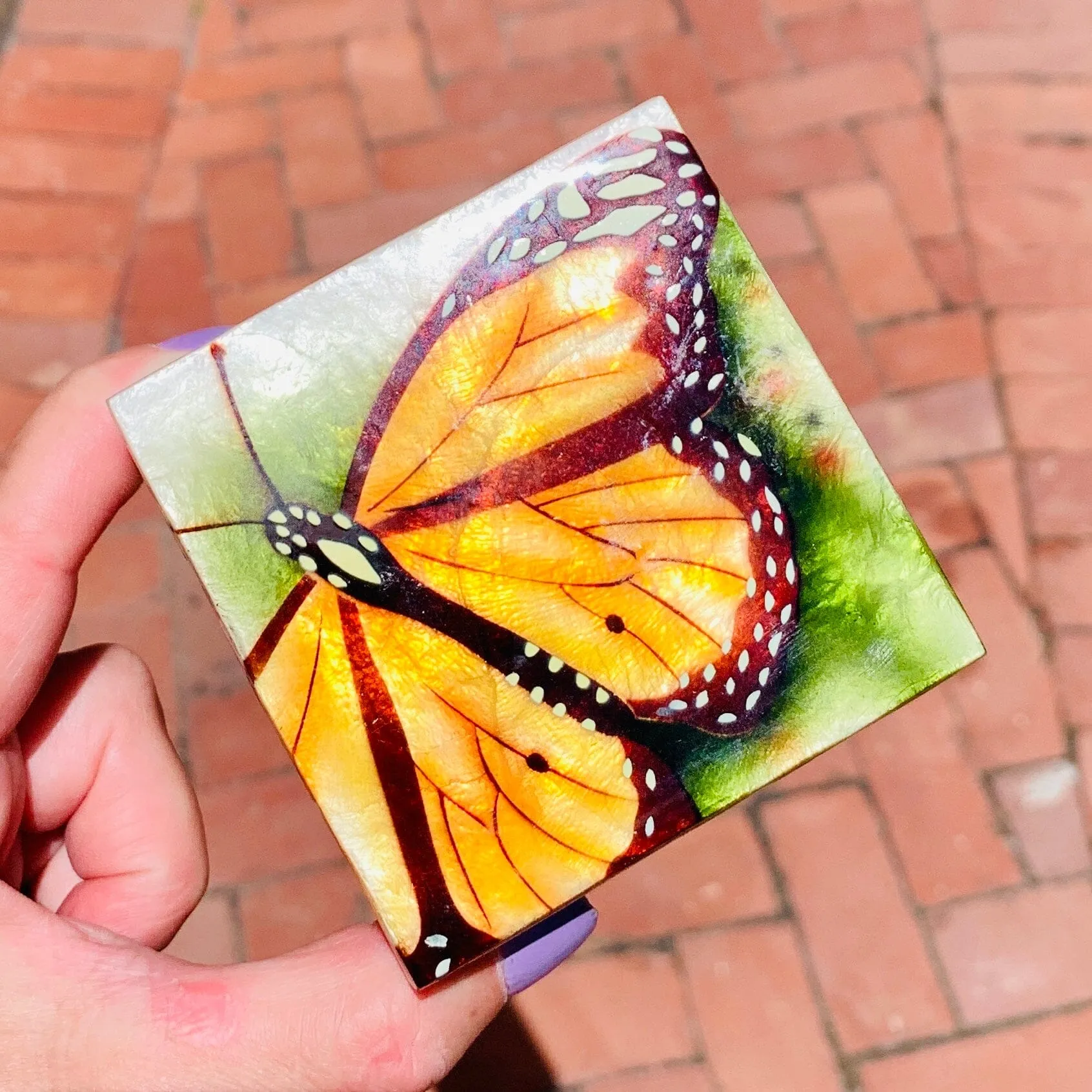 Capiz Shell Trinket Box 1, Butterfly