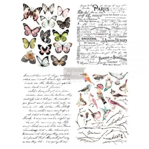 Parisian Butterfly Transfer